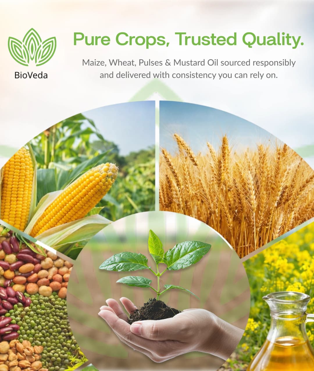 BioVeda — From Seeds to Staples